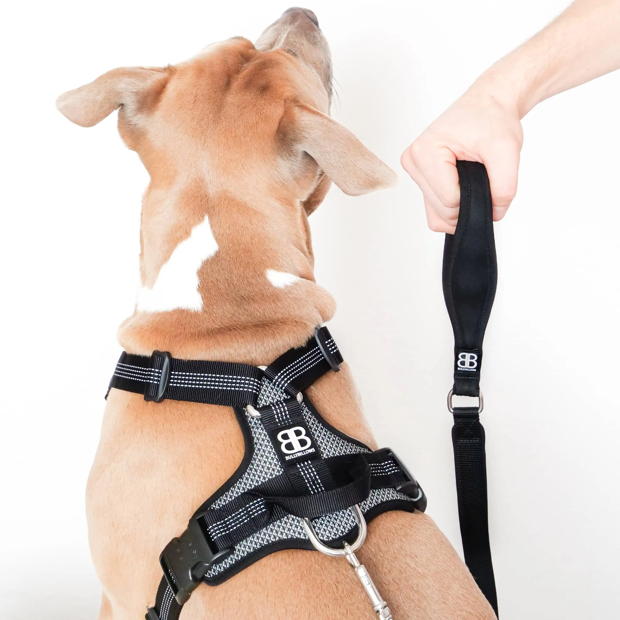 Active Harness | With Handle & Reflective - Grey