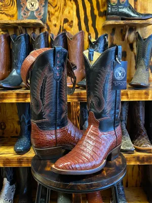 Almond Caiman Belly 9.5D