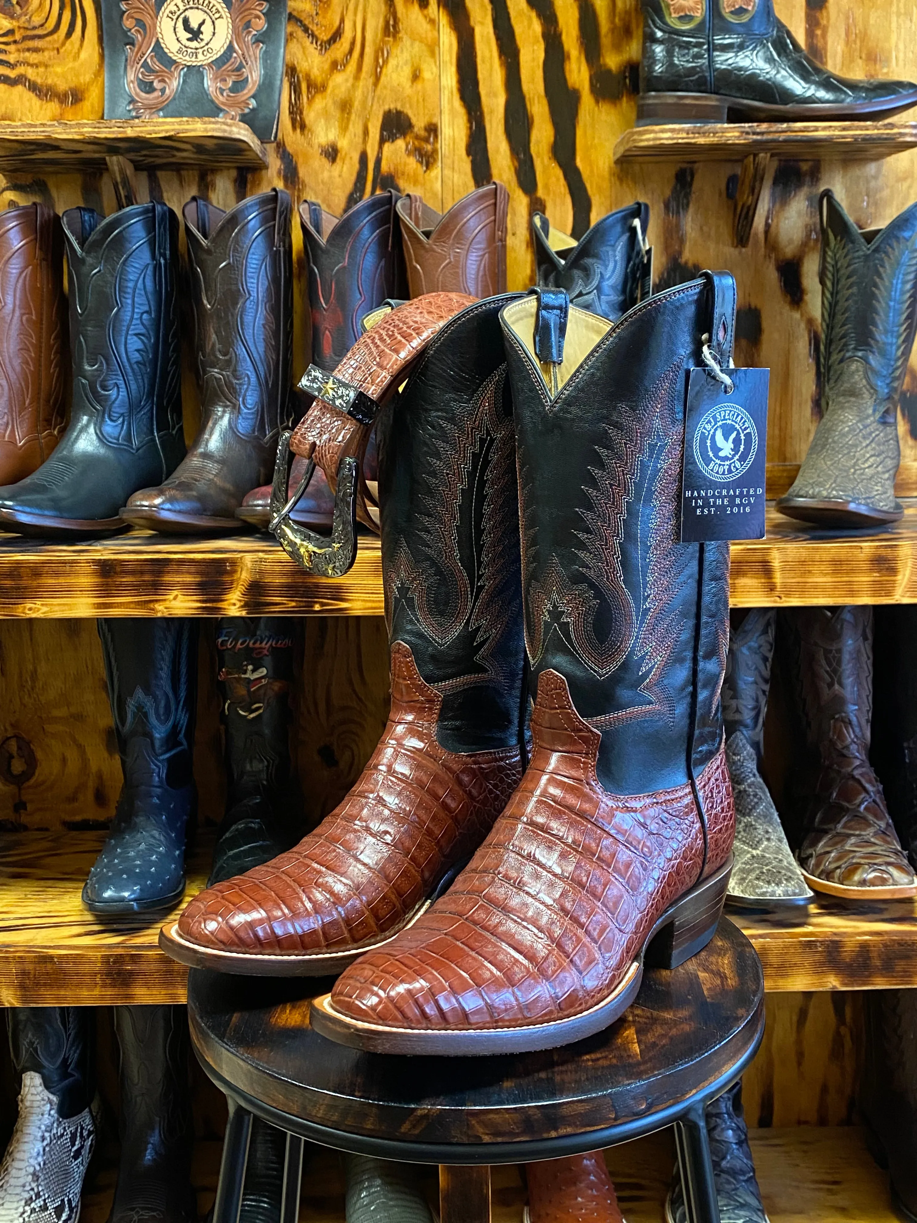 Almond Caiman Belly 9.5D