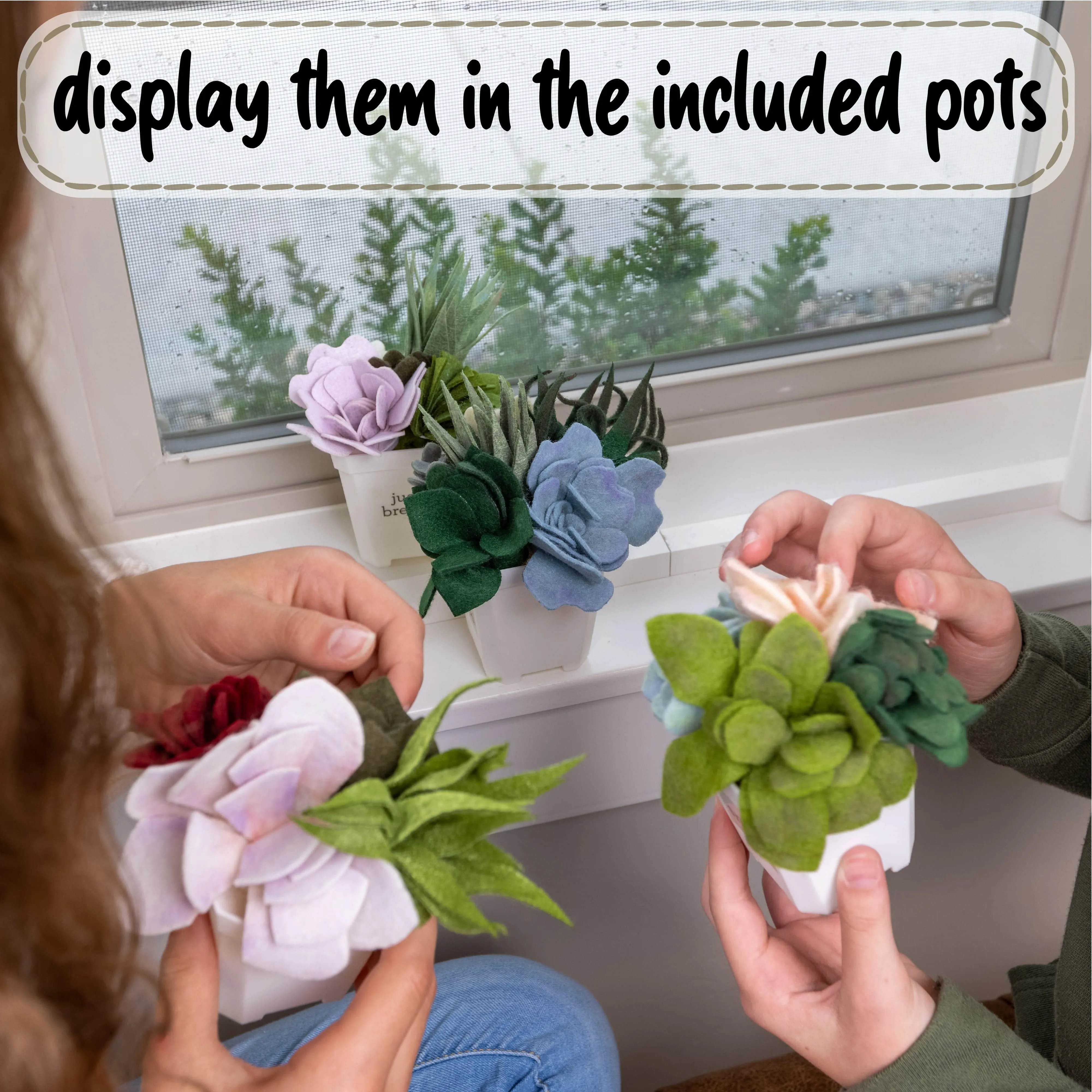DIY Potted Felt Succulents - Craft Kit