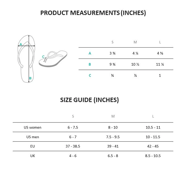 Flip-Flops Twin Neurons