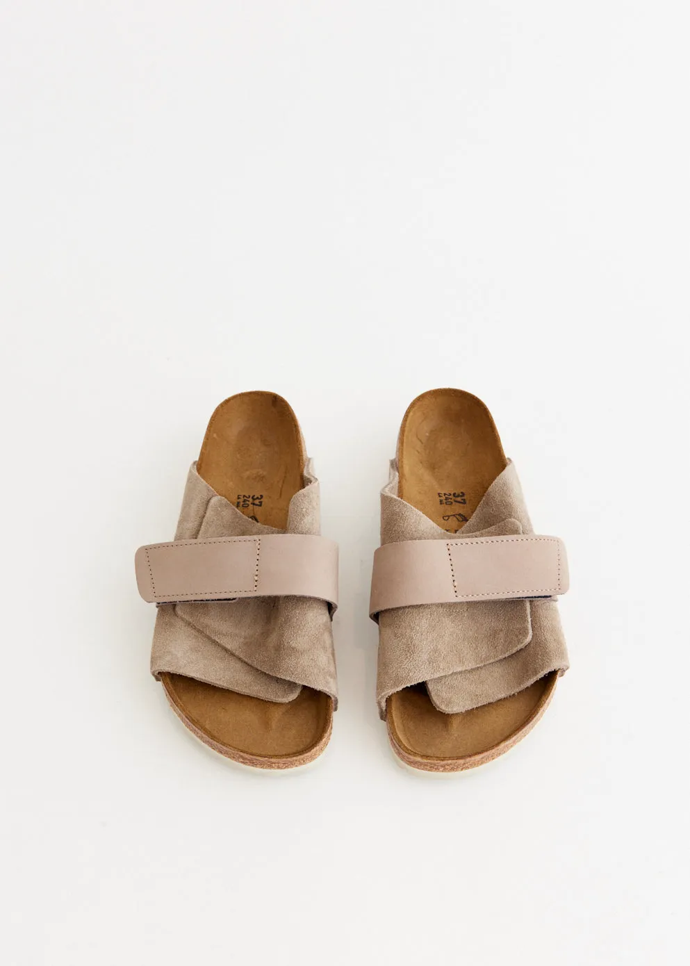 Kyoto Regular Slides