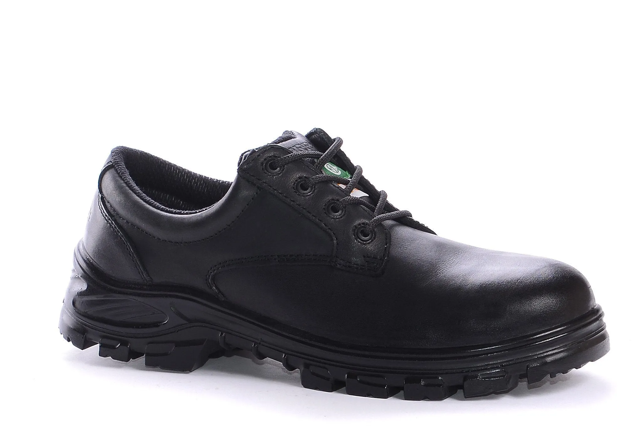 Terra Albany 835235