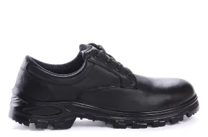 Terra Albany 835235